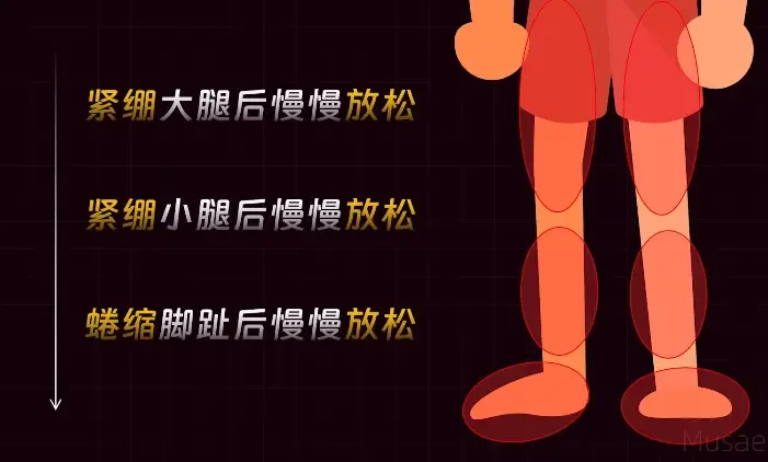 腿部